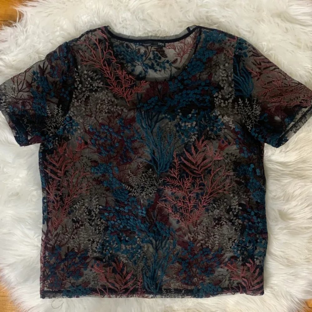 Zara Mesh top